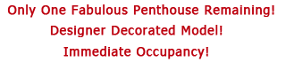 Only One Fabulous Penthouse Remaining! - Designer Decorated Model! - Immediate Occupancy!